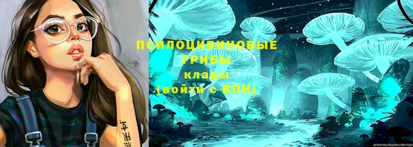 ECSTASY Абинск